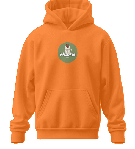 Tasarlanabilir Oversize Hoodie Premium Kalite (Özelleştirilmiş)