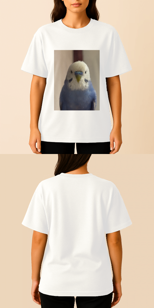 Tasarlanabilir Oversize Tişört Premium Kalite (Özelleştirilmiş)